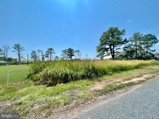 PARCEL 724 CALVARY ROAD, CRISFIELD, MD 21817, photo 4 of 4