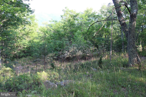 LOT #40W HIGH VALLEY DRIVE NORTH, FRANKLIN, WV 26807, photo 2 of 4