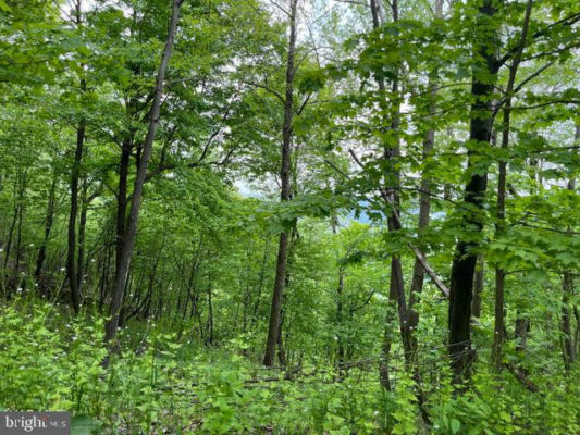 000 LITTLE VALLEY LOT #62, CLAYSBURG, PA 16625, photo 4 of 8
