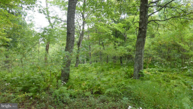 LOT 18 TOP OF THE MOUNTAIN RD, MOOREFIELD, WV 26836 - Image 1