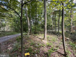 MOUNTAIN AIR SUBDIVISION - LOT 15, SPRINGFIELD, WV 26763, photo 5 of 15