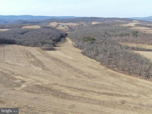 190+/- ACRES MILLER RD, ALUM BANK, PA 15521, photo 4 of 94