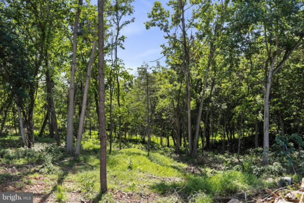 BELLA VISTA SUBDIVISION - SECTION 2, LOT 24, FALLING WATERS, WV 25419, photo 4 of 36