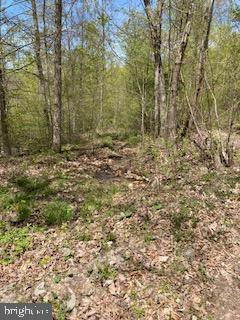 179 ACRES SHEIRER ROAD, BUFFALO MILLS, PA 15534, photo 2 of 55