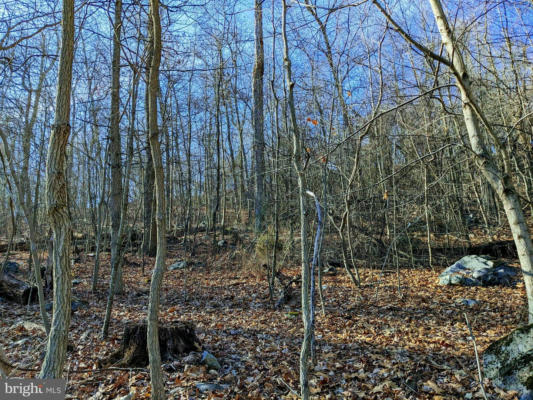 LOT 2 TREGO MOUNTAIN ROAD, KEEDYSVILLE, MD 21756, photo 4 of 14