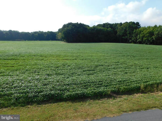 WESTERLY PORTION LOT 1, DAYE GIRLS ROAD, BISHOPVILLE, MD 21813, photo 3 of 17