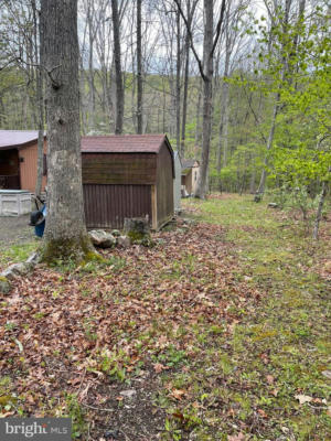 462 TROUT STREAM RD, LOST CITY, WV 26810, photo 5 of 16