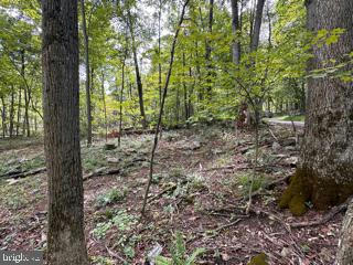 MOUNTAIN AIR SUBDIVISION - LOT 15, SPRINGFIELD, WV 26763, photo 4 of 15