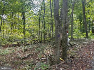 MOUNTAIN AIR SUBDIVISION - LOT 15, SPRINGFIELD, WV 26763, photo 3 of 15