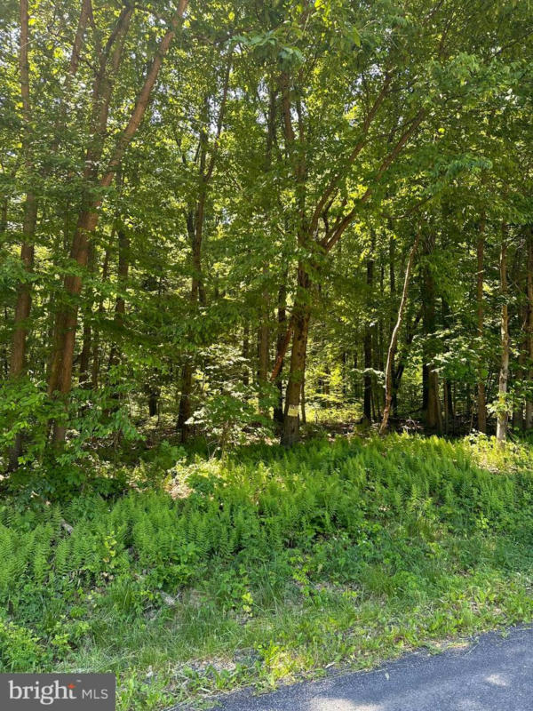 0 KLINE HOLLOW RD LOT 3, LIVERPOOL, PA 17045, photo 1 of 7