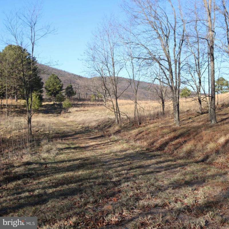 LOT 55 SARAH LINCOLN DR., NEW CREEK, WV 26743, photo 1 of 3
