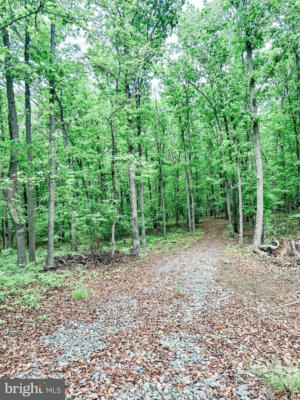LOT 5 INDEPENDENCE ROAD, UNIONVILLE, VA 22567, photo 3 of 4