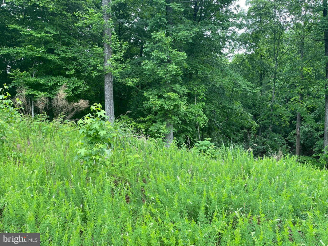 LOT 24 COMPASS COURT, KING GEORGE, VA 22485, photo 1 of 11