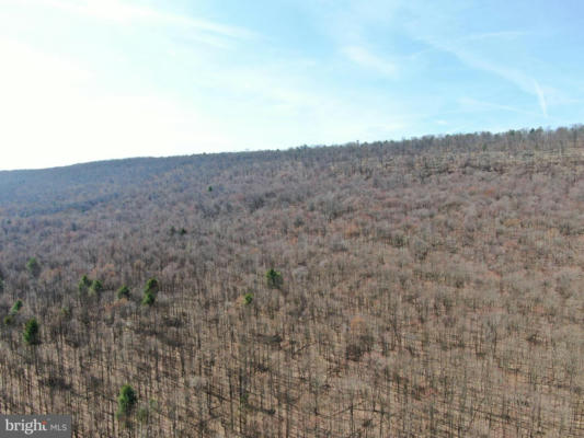 51.6+- ACRES OFF OF RAMSEY LN, MCCONNELLSBURG, PA 17233, photo 5 of 113