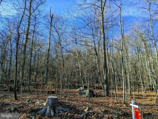 LOT 2 TREGO MOUNTAIN ROAD, KEEDYSVILLE, MD 21756 - Image 1