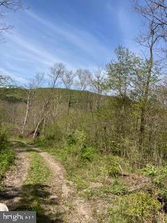 60 ACRES SHEIRER ROAD, BUFFALO MILLS, PA 15534, photo 5 of 31