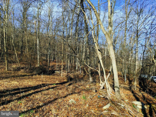 LOT 1 TREGO MOUNTAIN ROAD, KEEDYSVILLE, MD 21756, photo 4 of 15