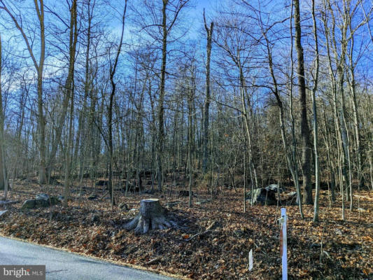 LOT 2 TREGO MOUNTAIN ROAD, KEEDYSVILLE, MD 21756, photo 2 of 14