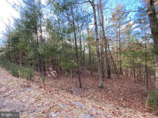 LOT 33 LOOKOUT RIDGE DRIVE, WARDENSVILLE, WV 26851, photo 5 of 6