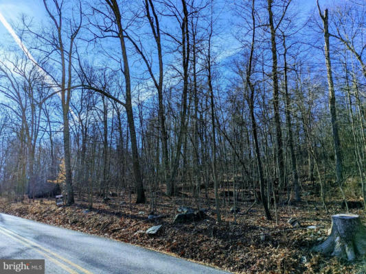 LOT 2 TREGO MOUNTAIN ROAD, KEEDYSVILLE, MD 21756, photo 3 of 14