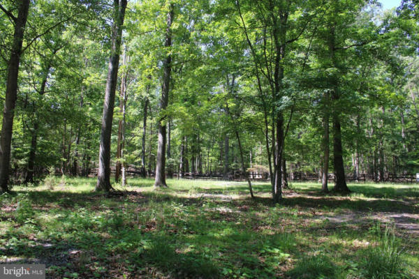 LOT 8 KING COURT, SPRINGFIELD, WV 26763 - Image 1