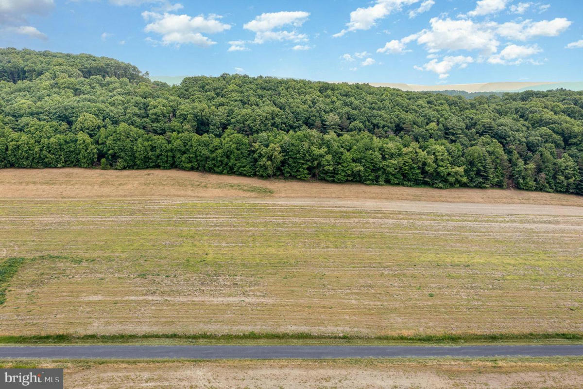 0 KLINE HOLLOW RD LOT 12, LIVERPOOL, PA 17045, photo 1 of 7