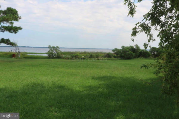 11646 LONG POINT RD, DEAL ISLAND, MD 21821 - Image 1