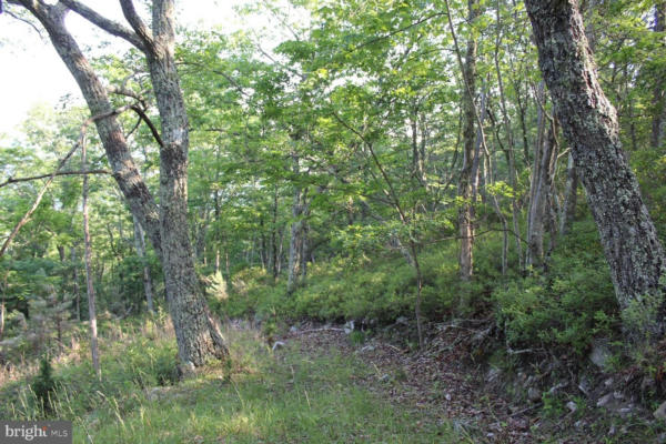 LOT #40W HIGH VALLEY DRIVE NORTH, FRANKLIN, WV 26807, photo 4 of 4
