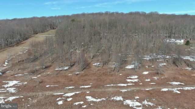 LOT 89 LAKEVIEW DRIVE/HEMLOCK ACRES, GRANTSVILLE, MD 21536, photo 3 of 10