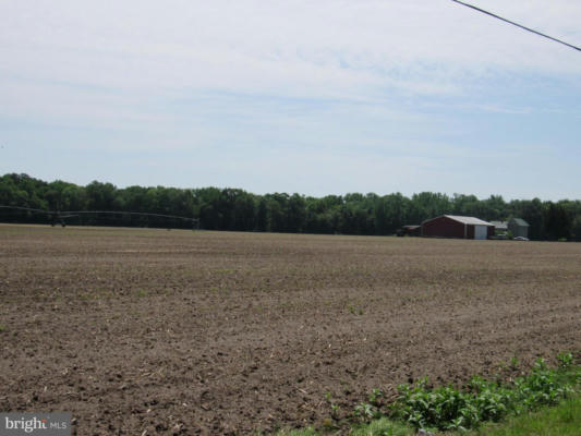 GUM BRANCH ROAD, SEAFORD, DE 19973, photo 3 of 7