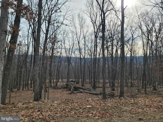 LOT 1 AND LOT 2 WILD APPLE LN, PAW PAW, WV 25434, photo 2 of 11