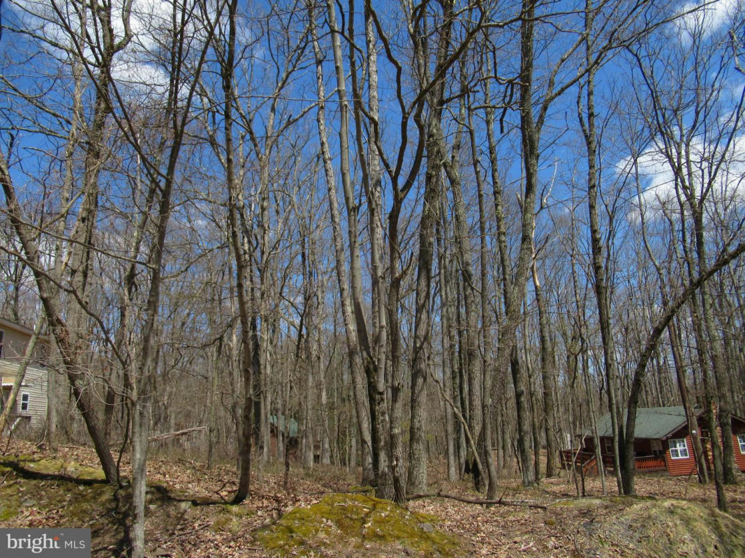 LOT#019 HOLIDAY, WHITE HAVEN, PA 18661, photo 1 of 17