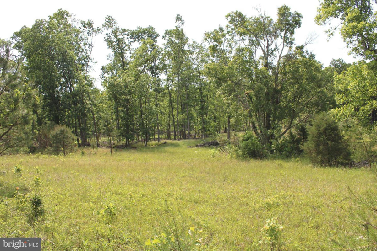 76.90 AC OFF THORN BOTTOM RD, WARDENSVILLE, WV 26851, photo 1 of 28
