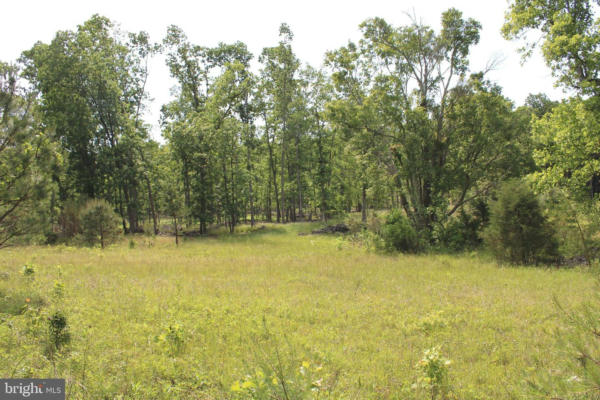 76.90 AC OFF THORN BOTTOM RD, WARDENSVILLE, WV 26851 - Image 1
