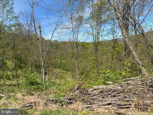 LOT 6 POLECAT HOLLOW ROAD, HOPEWELL, PA 16650, photo 2 of 23