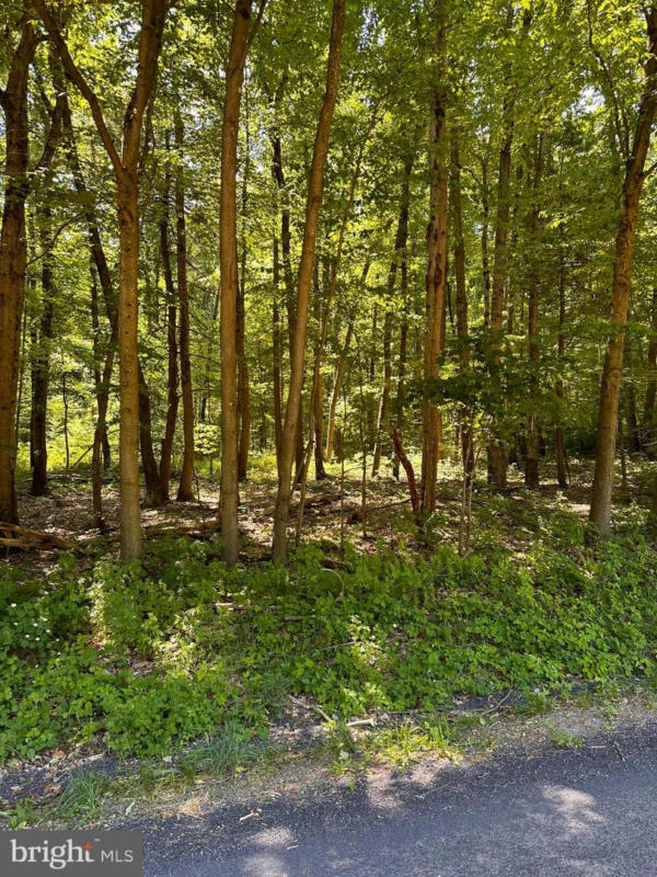 0 KLINE HOLLOW RD LOT 2, LIVERPOOL, PA 17045, photo 1 of 7