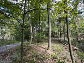 MOUNTAIN AIR SUBDIVISION - LOT 15, SPRINGFIELD, WV 26763, photo 1 of 15