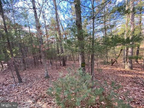 LOT 33 LOOKOUT RIDGE DRIVE, WARDENSVILLE, WV 26851 - Image 1