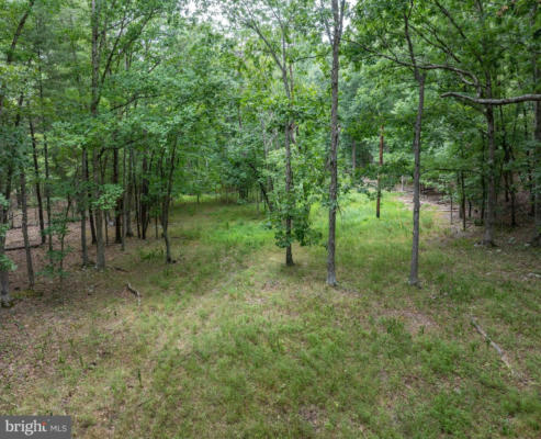 6.6 ACRES BUFFALO HOLLOW RD, ROMNEY, WV 26757 - Image 1