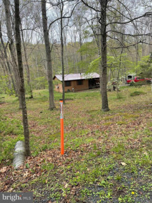 462 TROUT STREAM RD, LOST CITY, WV 26810 - Image 1
