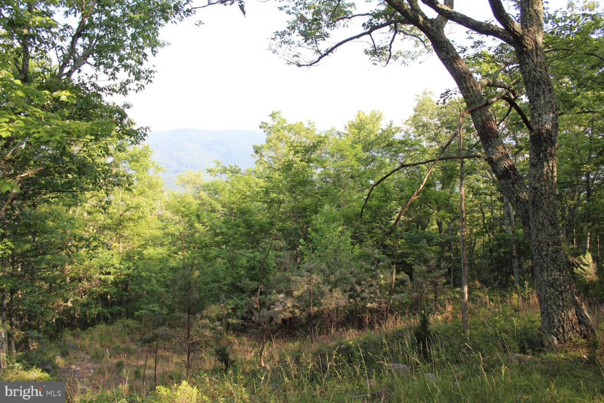 LOT #40W HIGH VALLEY DRIVE NORTH, FRANKLIN, WV 26807, photo 1 of 4