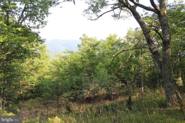 LOT #40W HIGH VALLEY DRIVE NORTH, FRANKLIN, WV 26807 - Image 1