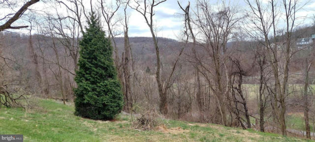 12821 NEW ROW RD NW, MOUNT SAVAGE, MD 21545, photo 5 of 33
