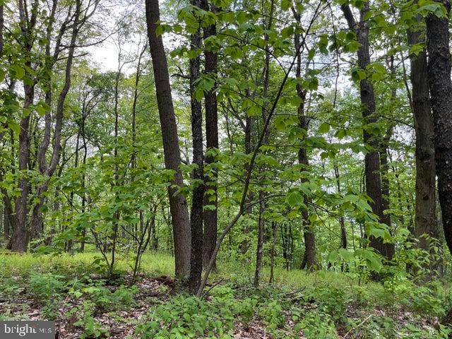 000 LITTLE VALLEY ROAD #LOT #69, CLAYSBURG, PA 16625, photo 1 of 8