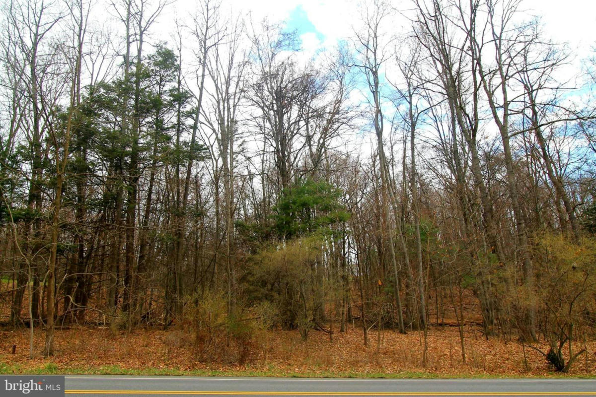 LOT ON TWO MILE ROAD, HOWARD, PA 16841, photo 1 of 2