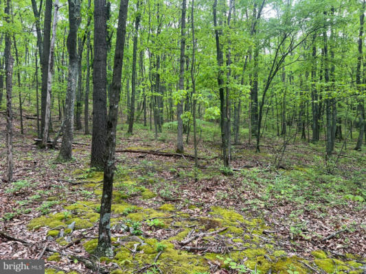 LOT 25 JEREMIAH WAY, CLEARVILLE, PA 15535, photo 3 of 20