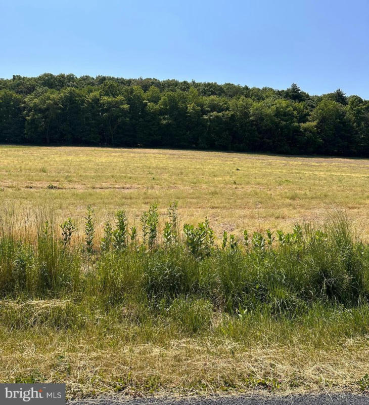 0 KLINE HOLLOW RD LOT 13, LIVERPOOL, PA 17045, photo 1 of 7