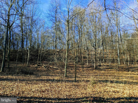 LOT 1 TREGO MOUNTAIN ROAD, KEEDYSVILLE, MD 21756, photo 3 of 7