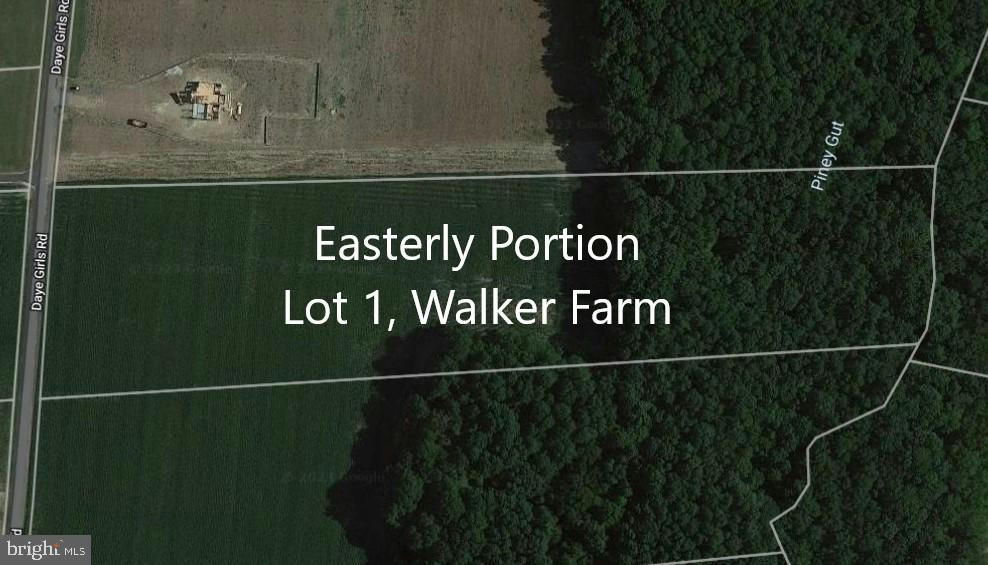 EASTERLY PORTION LOT 1, DAYE GIRLS ROAD, BISHOPVILLE, MD 21813, photo 1 of 13