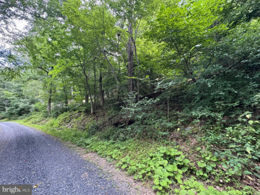 TBD LOT 45 CLIFF HEIGHTS, STANLEY, VA 22851 - Image 1